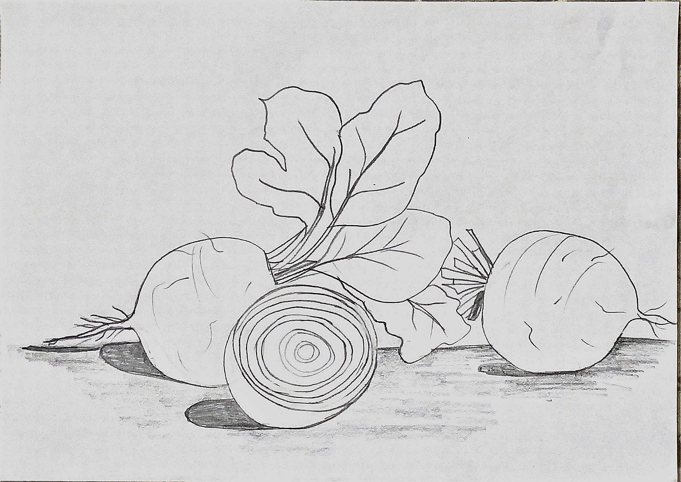 Riscos de frutas cítricas para pintura em tecido