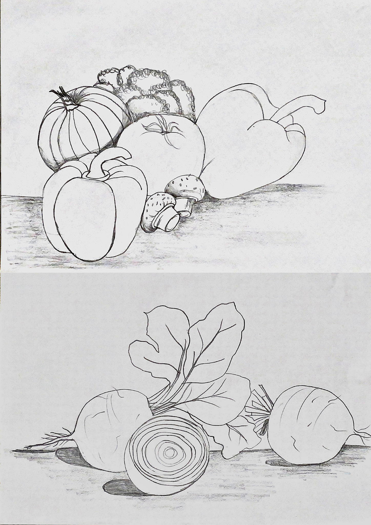 Riscos de vegetais para pintura em tecido